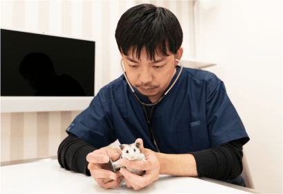 イメージ写真